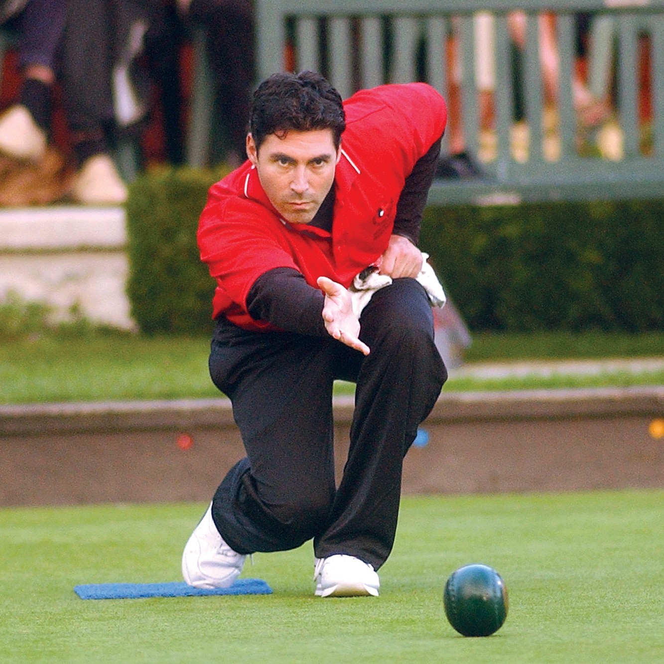 Lawn Bowling Example